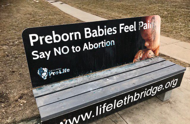 Pro-life group, City of Lethbridge argue in court over anti ...